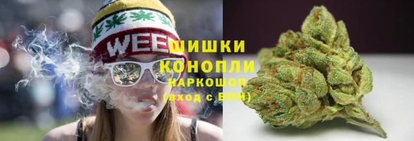 тгк Няндома