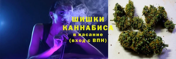 тгк Няндома