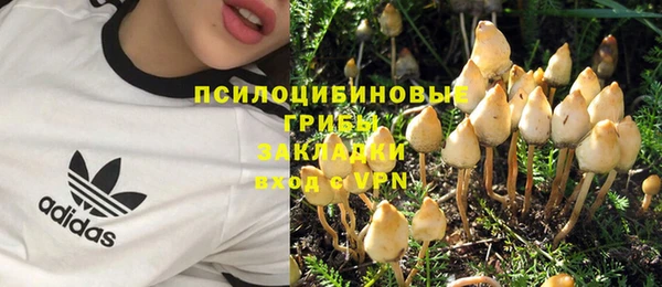 молекула духа Абдулино
