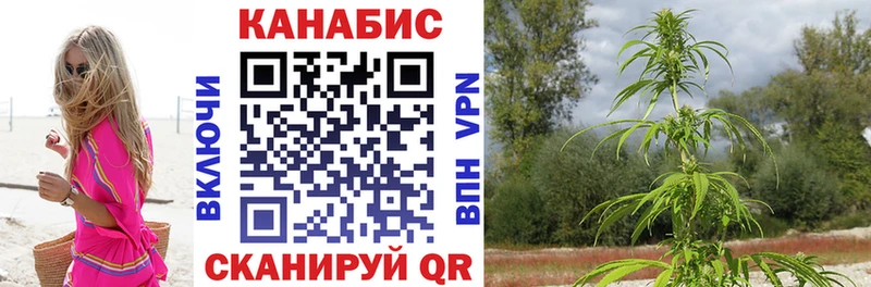 цена наркотик  Костомукша  Конопля VHQ 